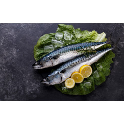 Maquereaux entiers vidés - 2 pièces de 200/300gr