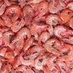 Livraison de Crevettes roses Label Rouge de Madagascar à Paris et  dans toute la France Métropolitaine.