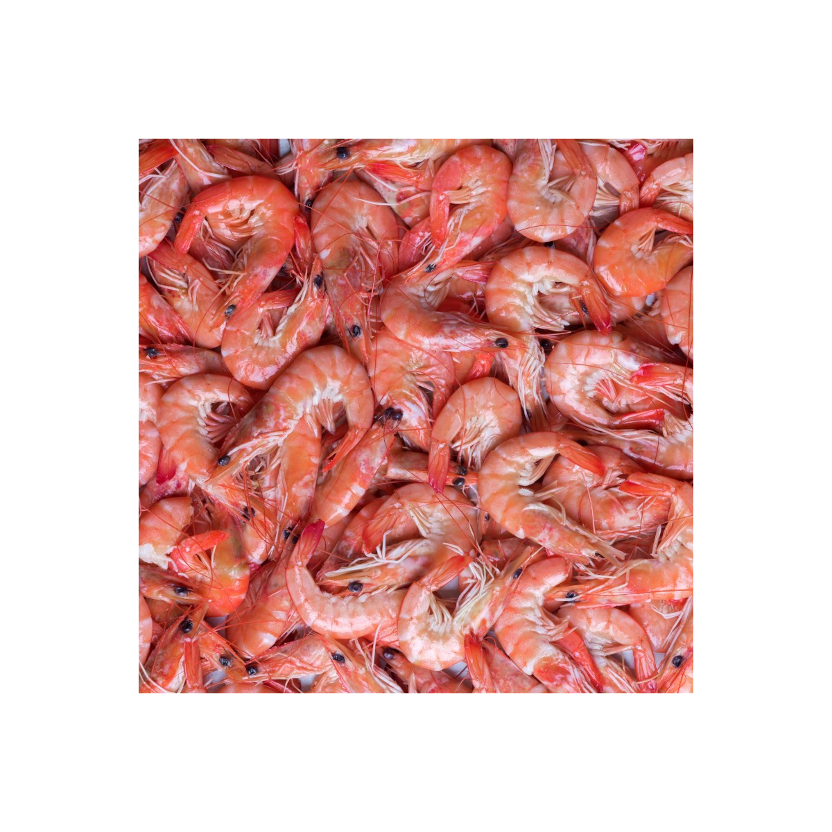 Livraison de Crevettes roses Label Rouge de Madagascar à Paris et  dans toute la France Métropolitaine.