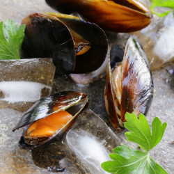 Livraison de Moules à Paris et  dans toute la France Métropolitaine.