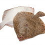 Livraison de Turbot Entier Sauvage à Paris et  dans toute la France Métropolitaine.