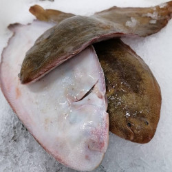 Livraison de Soles Entières à Paris et dans toute la France