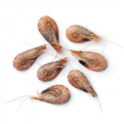 Livraison de Crevettes grises de Normandie à Paris et  dans toute la France Métropolitaine.