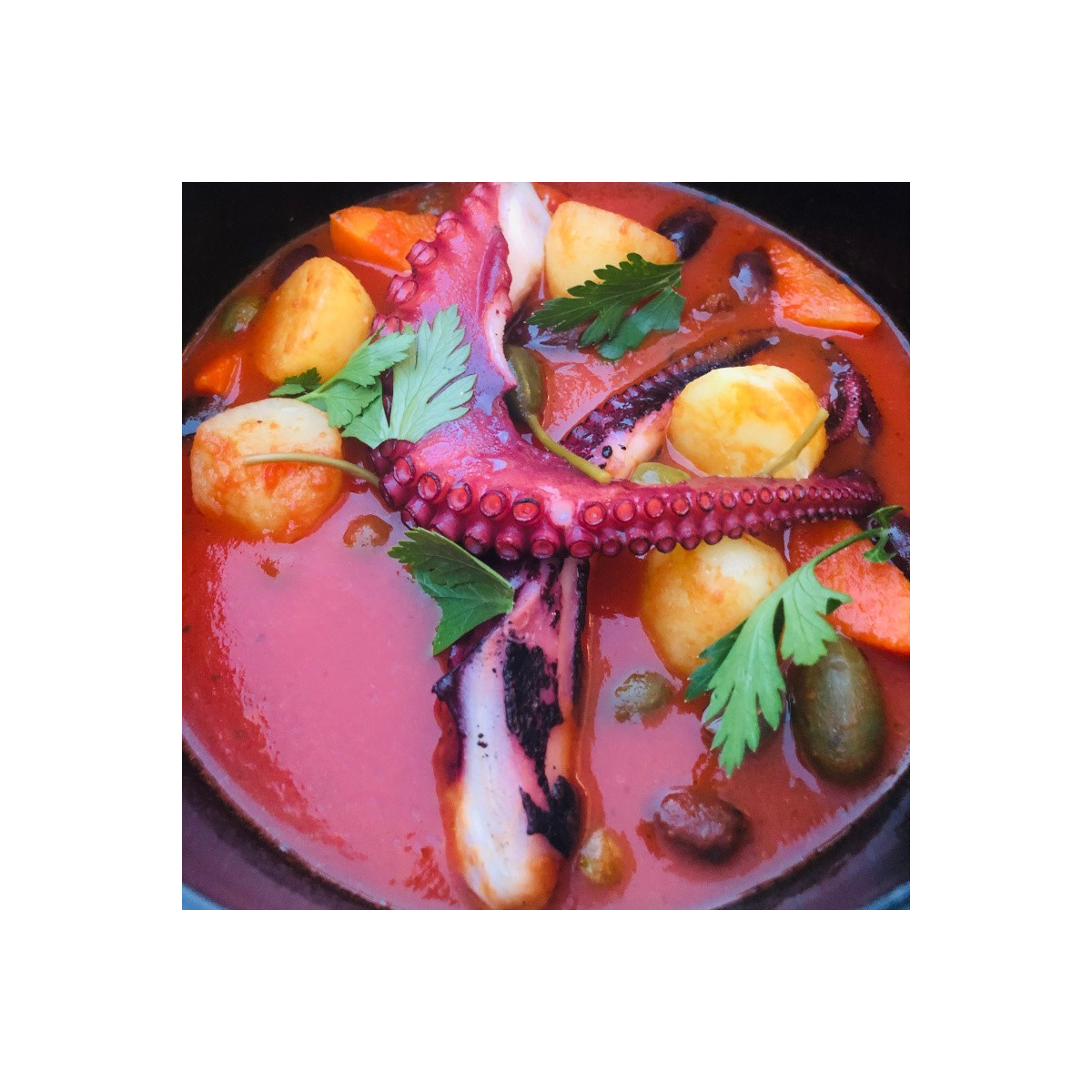 Livraison de poulpe de méditerranée à Paris et en ile-de-France