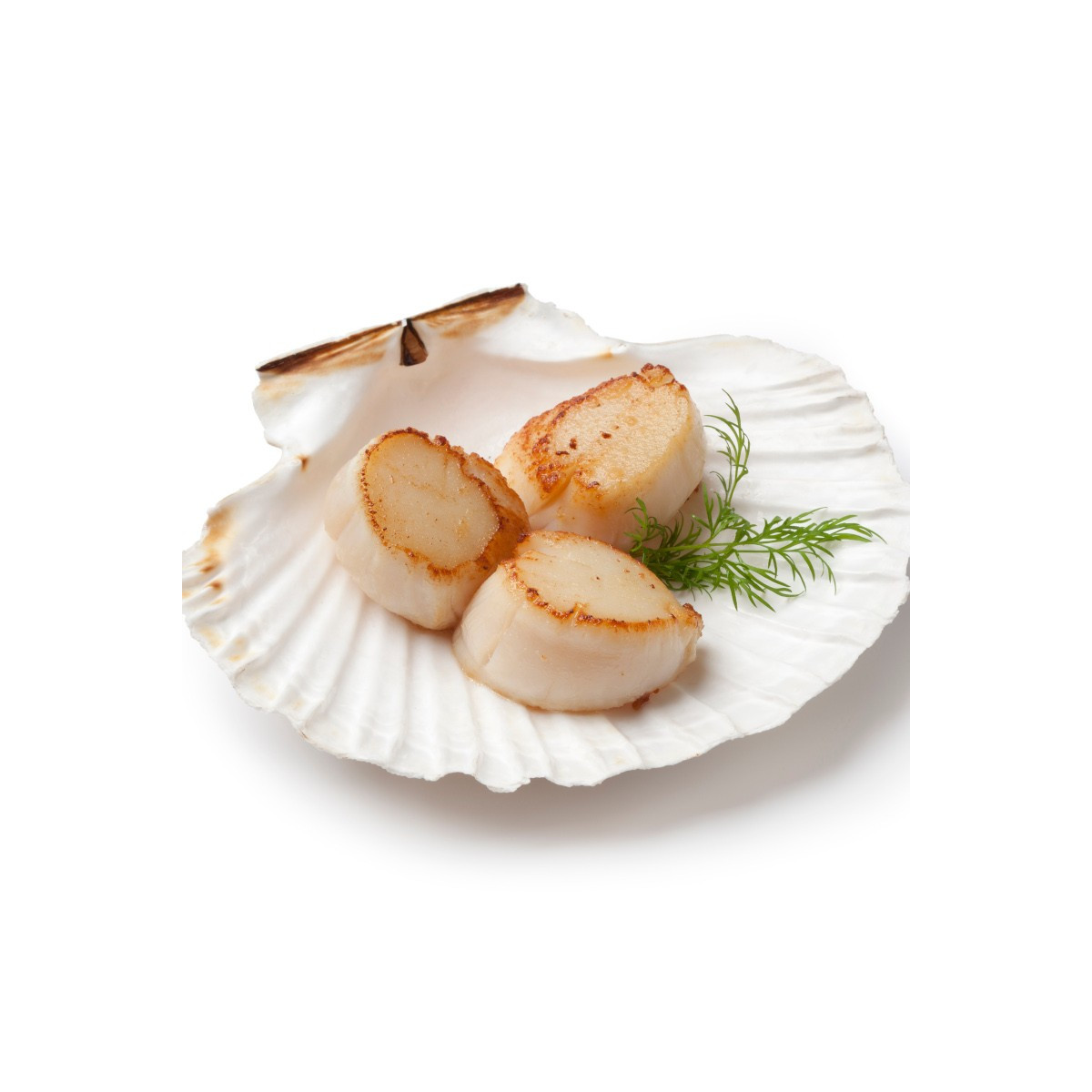 recette avec corail de saint jacques