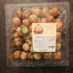 Livraison à domicile d'escargot de bourgogne à Paris et dans toute la France métropolitaine.