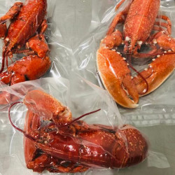 Homard Européen cuit - 600/700gr