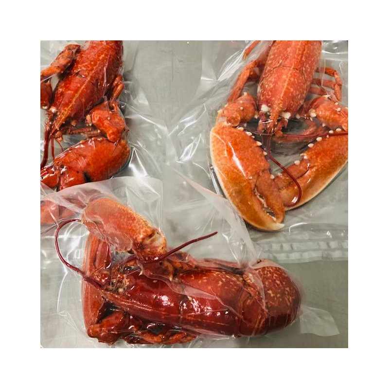 Homard Européen cuit - 600/700gr