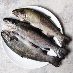 Livraison à domicile de filets de truites à Paris et dans toute la France métropolitaine.