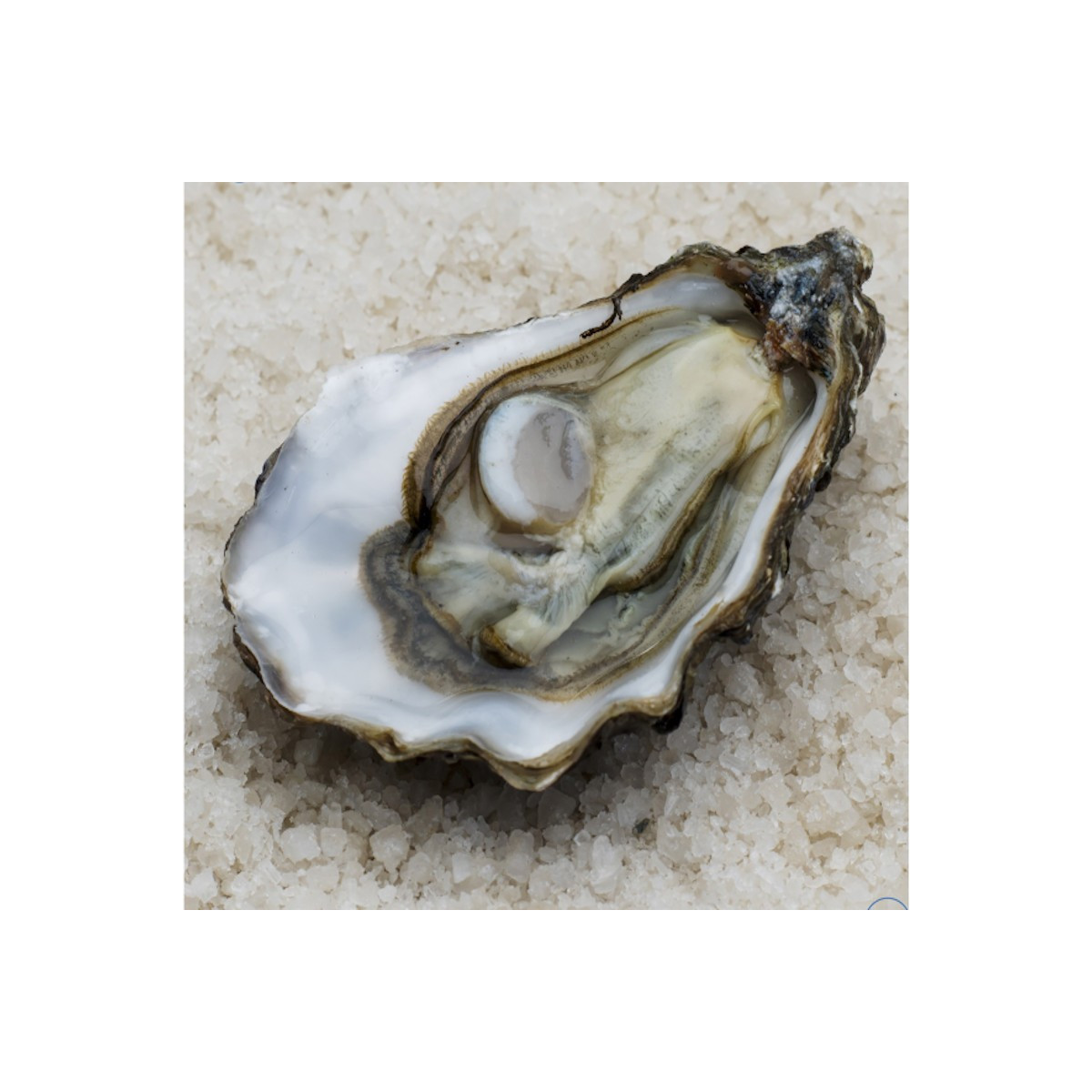 Livraison de Huîtres Spéciales de Claire n°3 à Paris et  dans toute la France Métropolitaine.