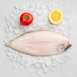 Sole Entière Petit Bateau