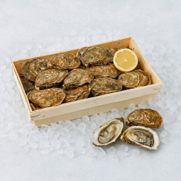 Bourriche d'Huîtres Fines de Claire n°3