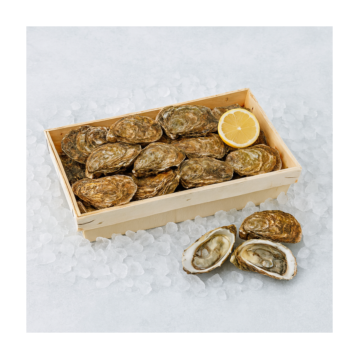 Bourriche d'Huîtres Fines de Claire n°3