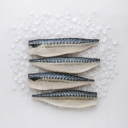 Filets de maquereaux - 4 filets