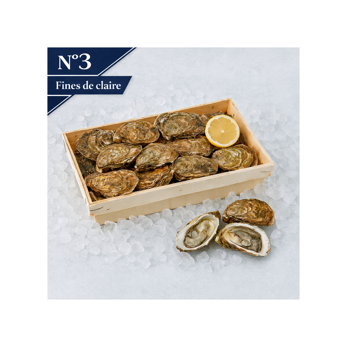 Livraison de Huîtres Fines de Claire n°3 à Paris et  dans toute la France Métropolitaine.