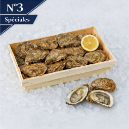 Livraison de Huîtres Spéciales de Claire n°3 à Paris et  dans toute la France Métropolitaine.