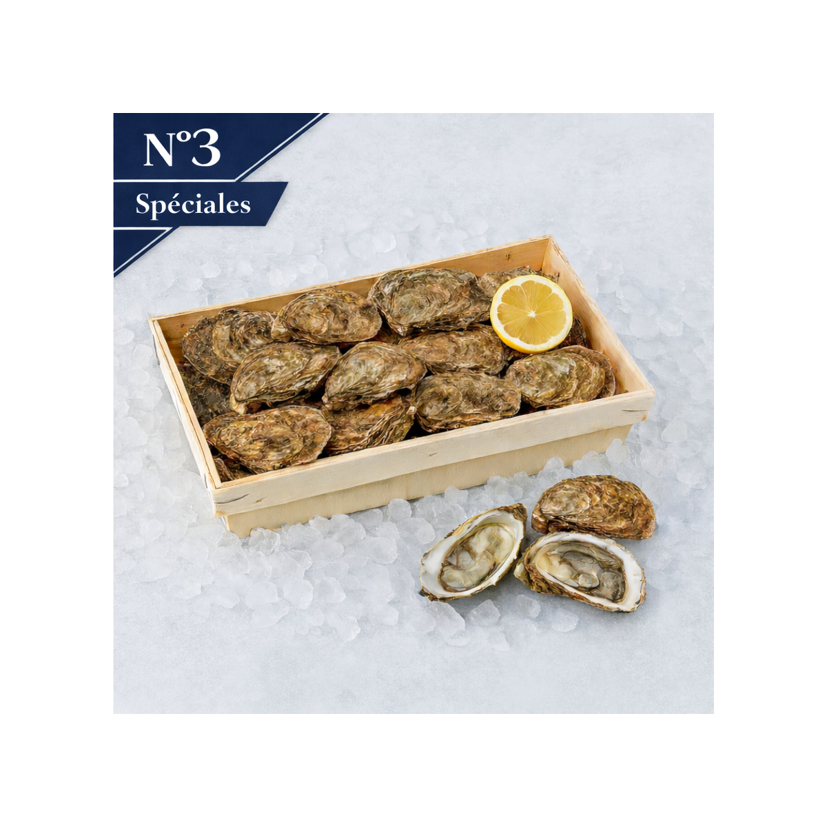 Livraison de Huîtres Spéciales de Claire n°3 à Paris et  dans toute la France Métropolitaine.