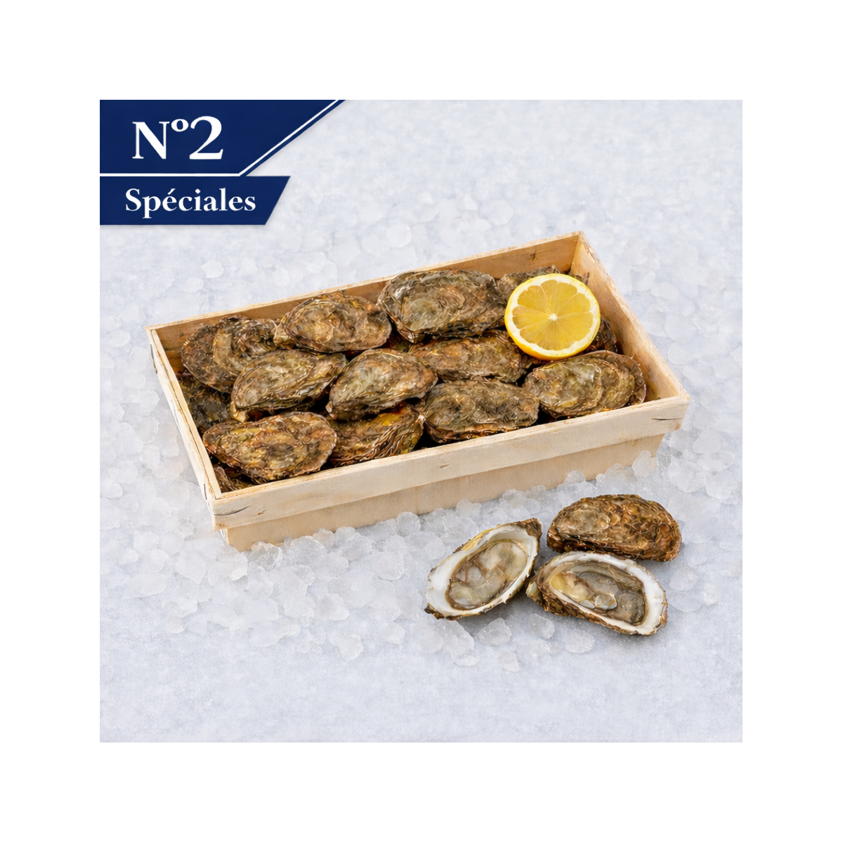 Livraison de Huîtres Spéciales de Claire n°3 à Paris et  dans toute la France Métropolitaine.