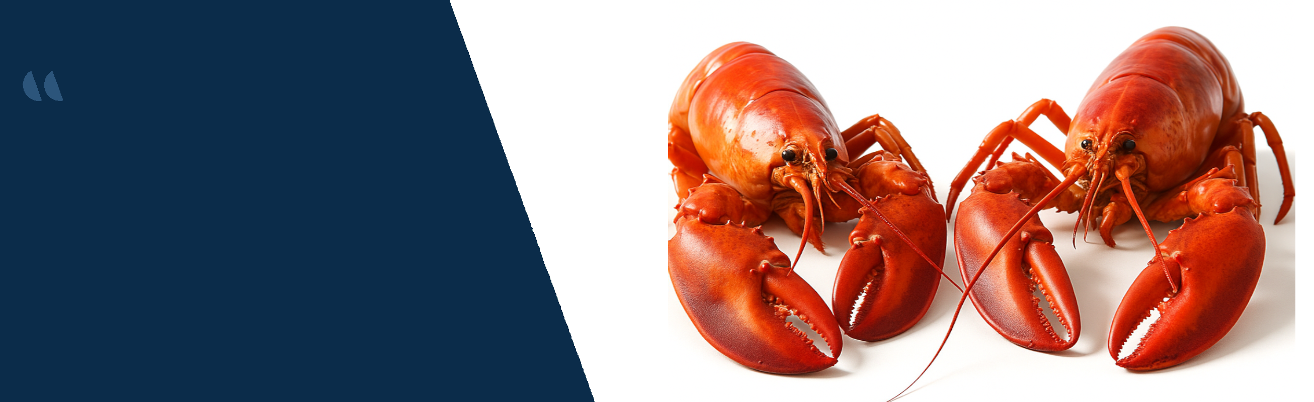 Fruits de mer  image