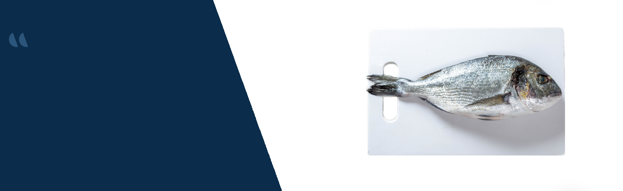 Poissons Frais image